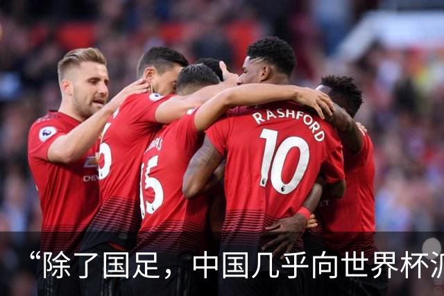 “除了国足，中国几乎向世界杯派去了一切”