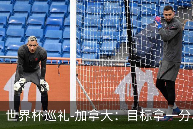 世界杯巡礼-加拿大：目标拿一分、赢一场，晋级32强